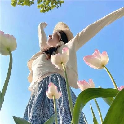 阿里安
