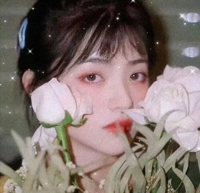 美术馆旁的动物园